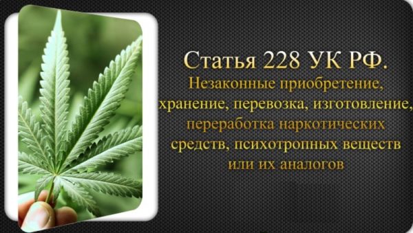 228 статья